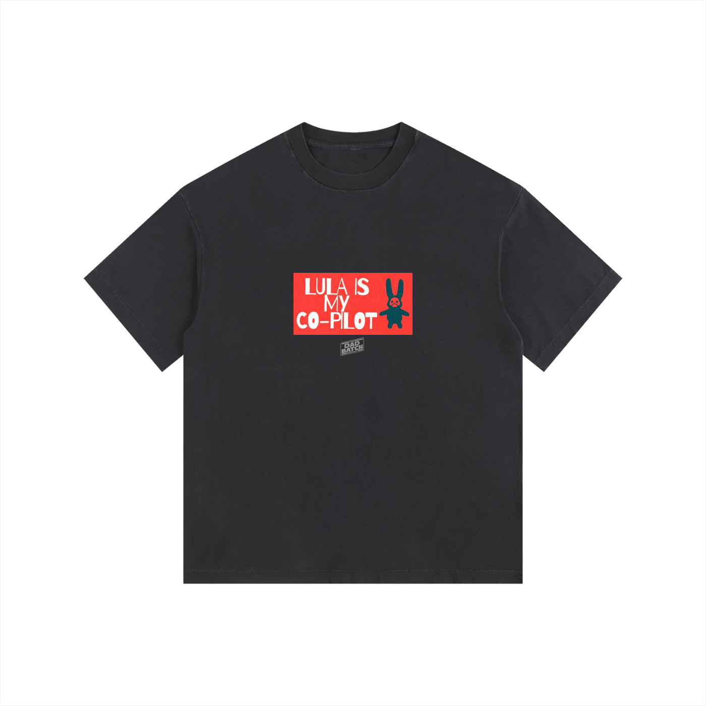 Lula Co Pilot Oversized Cotton T-Shirt